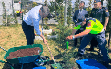 sokak hayvanları barınak