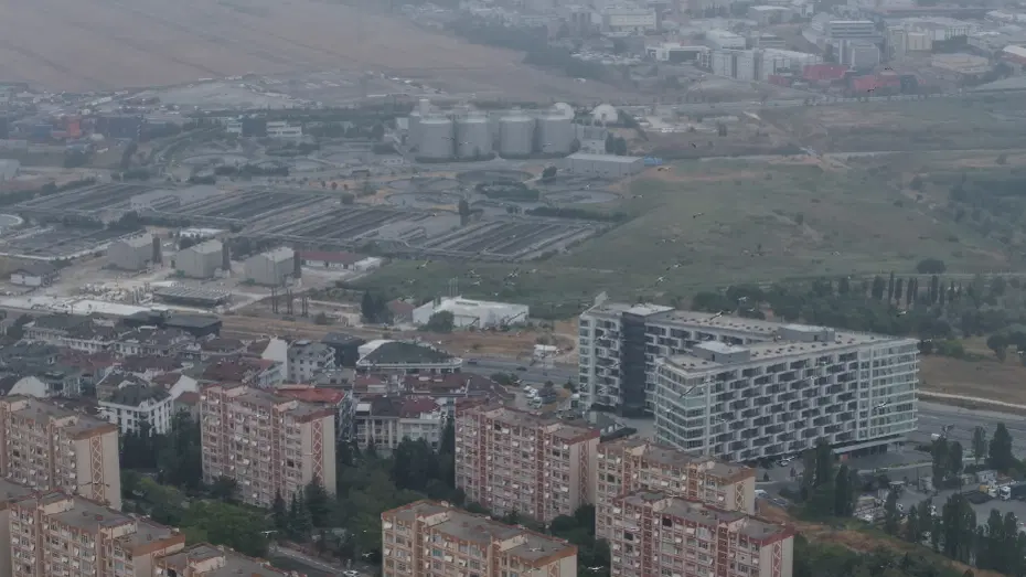 Leylek göçü