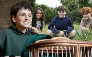 Harry Potter Dizisi