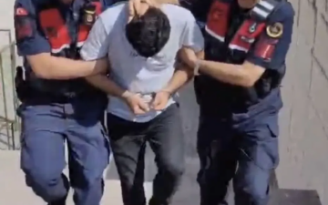 Orman Yangını