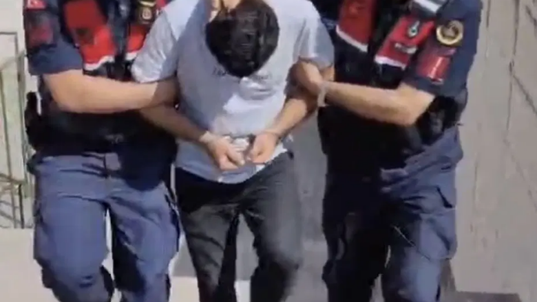 Orman Yangını