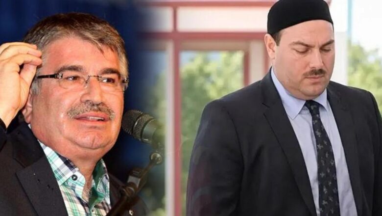 Şahin