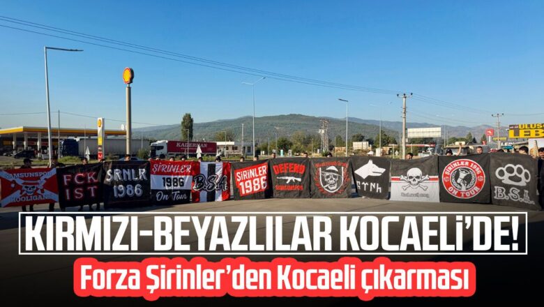 Forza Şirinler